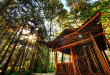 Pellentesque habitant morbi tristique senectus