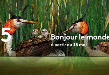 France 5 propose une série d’animation naturaliste
