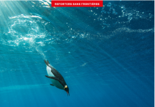 L’ALBUM RSF POUR LA LIBERTÉ DE LA PRESSE EST SORTI