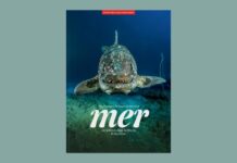 MER : LE NOUVEL ALBUM DE RSF