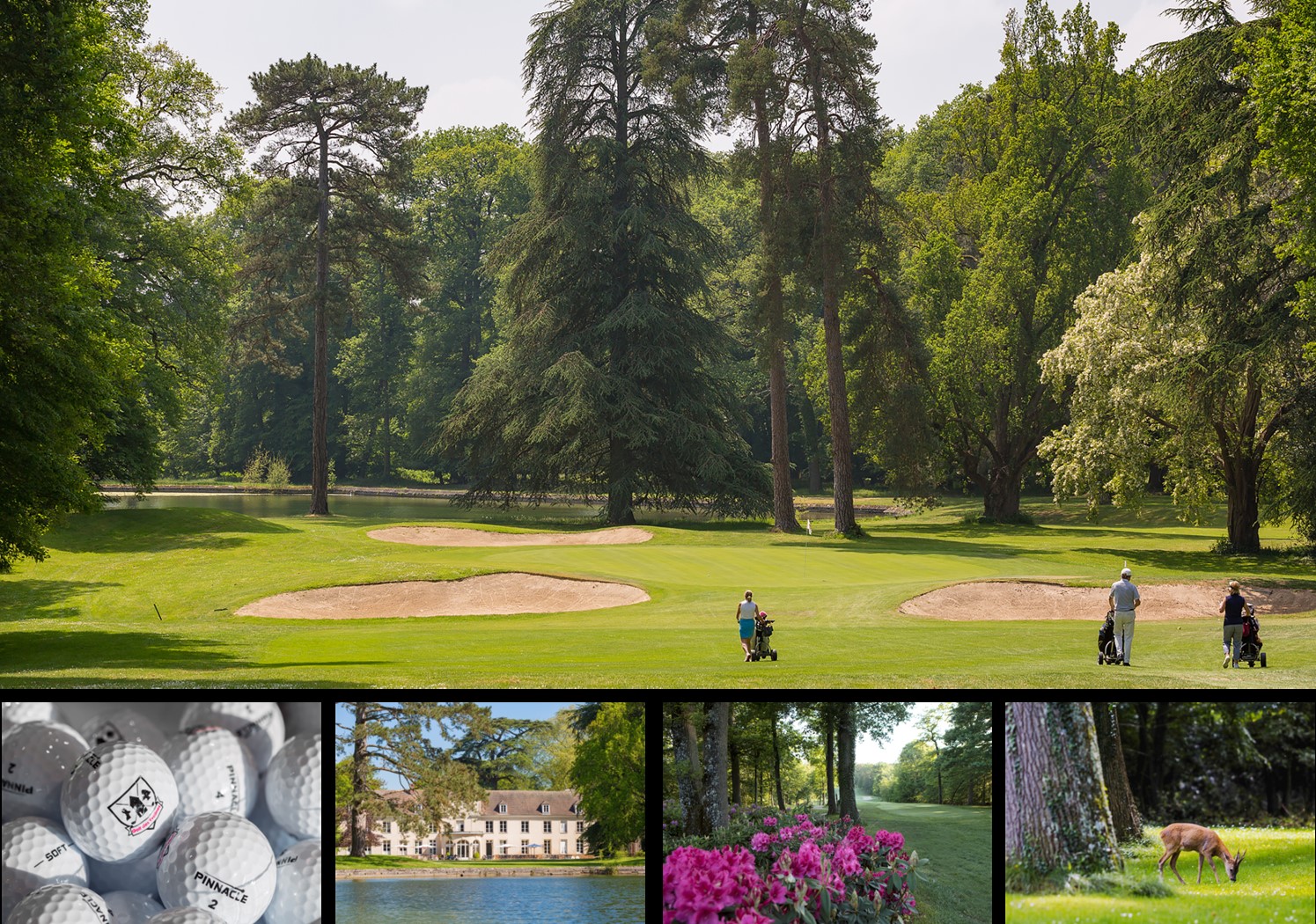 Prez globale Les Yvelines (002)