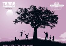 LE MAGAZINE TERRE SAUVAGE ET L’ONF ORGANISENT LE CONCOURS DE L’ARBRE DE L’ANNÉE 2024