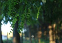 LANCEMENT DE L’OBSERVATOIRE DES MEDIAS SUR L’ÉCOLOGIE