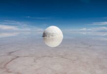 07/11/2025 – EN IMMERSION – EXPOSITION D’ART CONTEMPORAIN