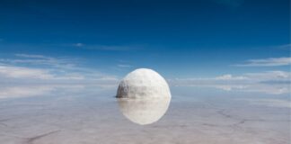 07/11/2025 – EN IMMERSION – EXPOSITION D’ART CONTEMPORAIN