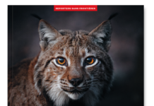 VINCENT MUNIER, A L’AFFUT DE LA VIE : NOUVEL ALBUM DE RSF EN PRÉVENTE