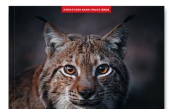 VINCENT MUNIER, A L’AFFUT DE LA VIE : NOUVEL ALBUM DE RSF EN PRÉVENTE